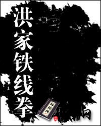 [武功秘籍]洪家铁线拳2.pdf