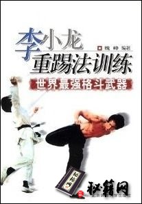 [武功秘籍]李小龙重踢法训练 世界最强格斗武器（魏峰）.pdf