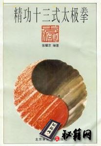 [武功秘籍][精功十三式太极拳].张耀忠.扫描版.pdf