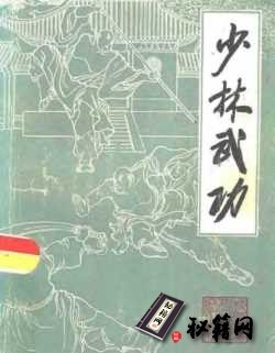 [武功秘籍]少林武功.pdf
