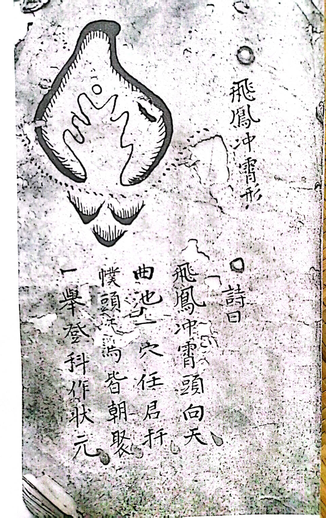 《三僚杨公地理三百六十形秘诀宗要》清代手写本