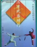 [武功秘籍]三才武当对剑（陈龙骧）.pdf